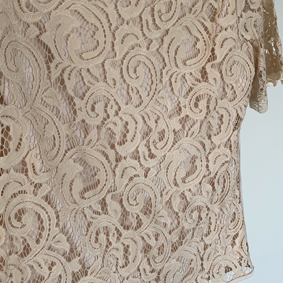 Adrianna Papell Lace Top - Picture 2 of 9